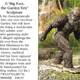 Image for article titled More SkyMall: The Mile-High Commerce Club